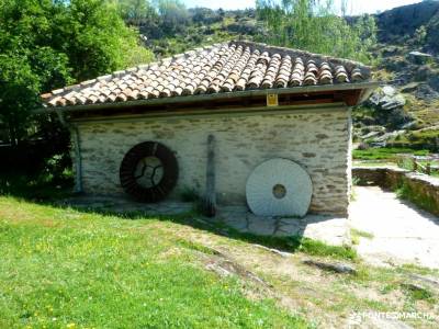 Sierra del Rincón_Montejo de la Sierra_La Hiruela; sierradegredos ruta por cuenca integral de la ped